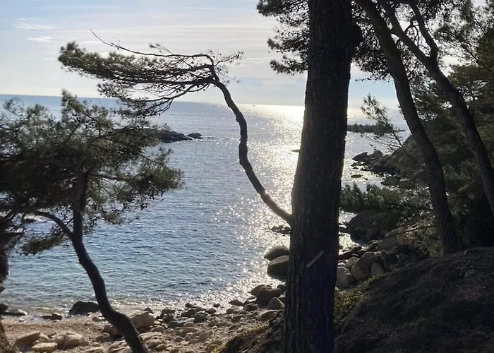 Studio/loft Sant Antoni De Calonge